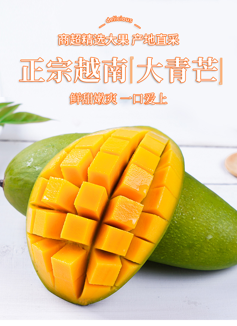 O1CN010iRRSP1XuibHQDPxB_!!2926862984.jpg