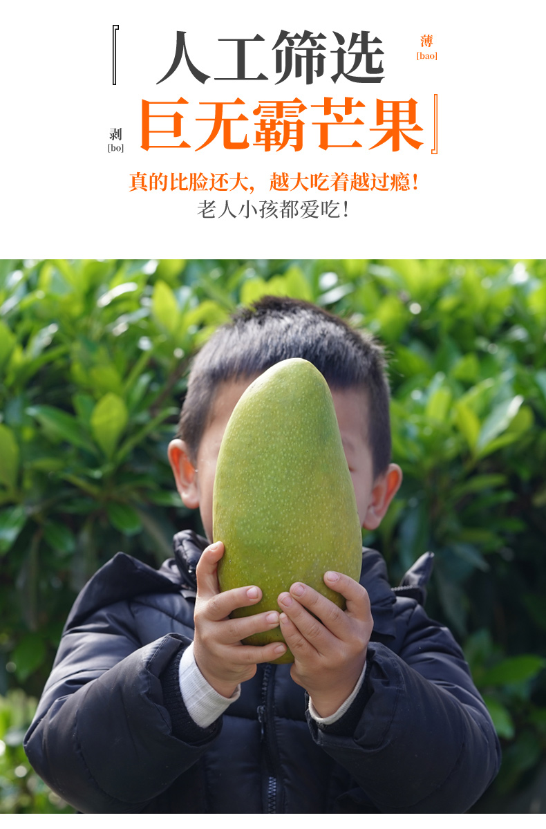 O1CN0163lOsA1XuibINWVXm_!!2926862984.jpg