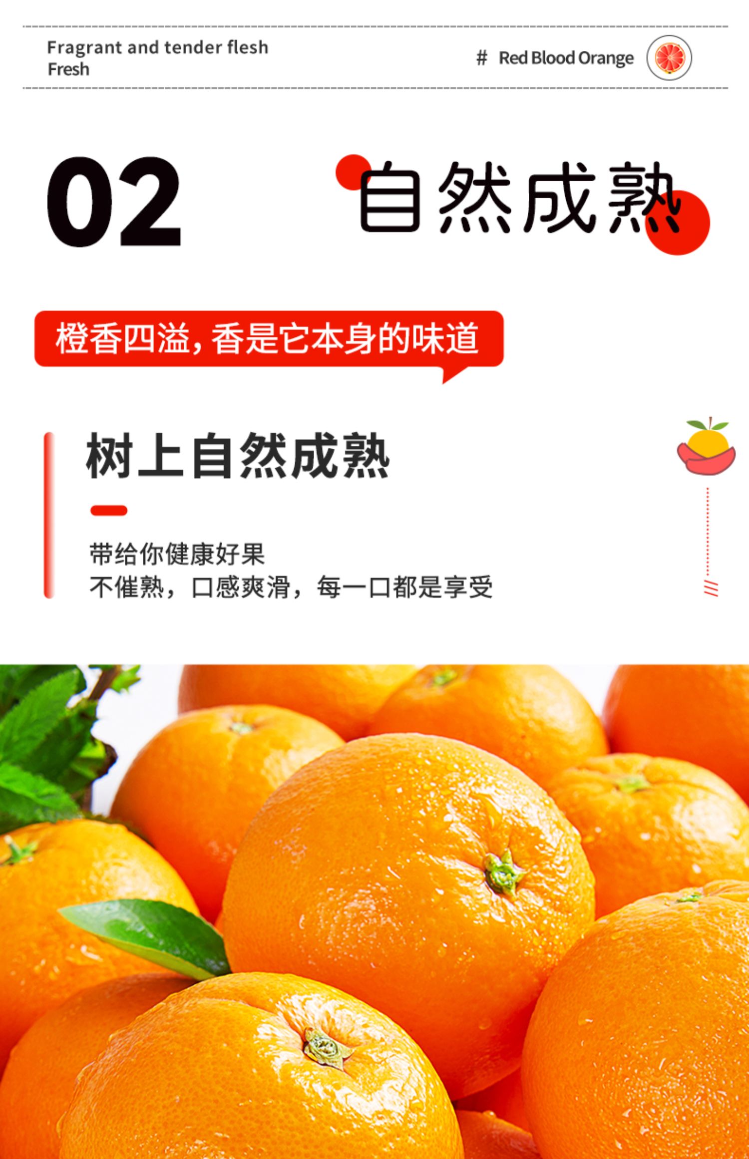 O1CN018SNmJP1R1PAhe1drl_!!2939922051.jpg