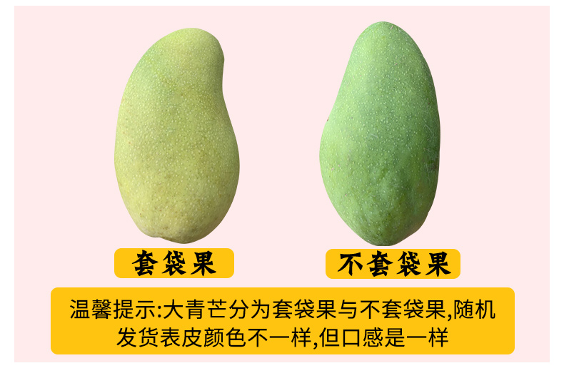 O1CN01JD1u2P1XuibMv8dBS_!!2926862984.jpg