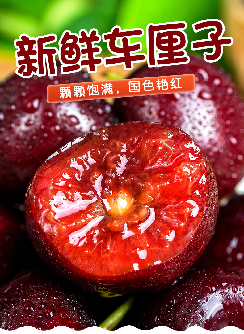 O1CN01WeSTRx21CEguu2Ny6_!!2206506346948.jpg
