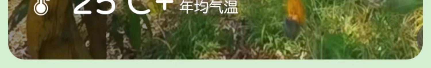 O1CN01d7eHXn1rSagzeW0o7_!!2627785630.jpg