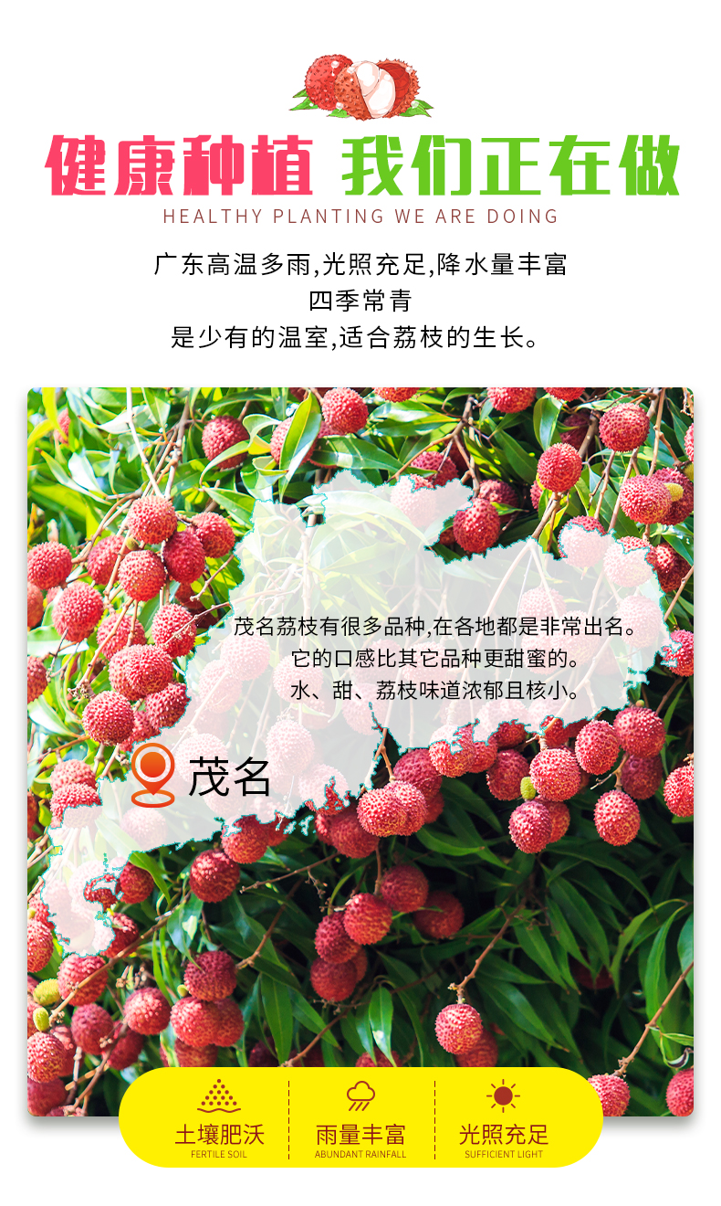 O1CN01josaWO1YbJSJSY7cO_!!2656413077.jpg