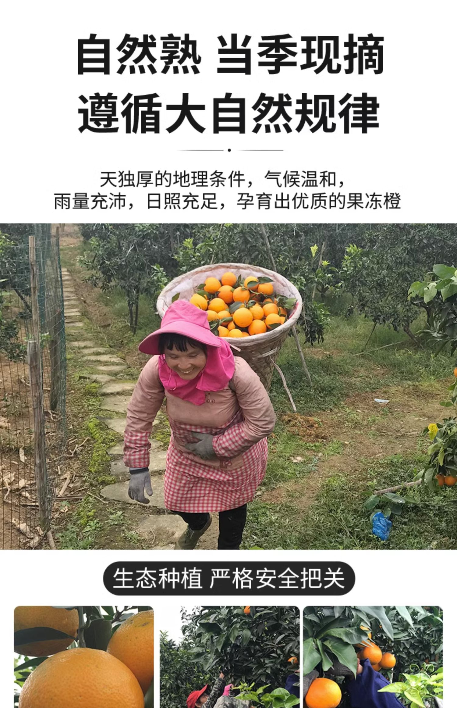 O1CN01kmhe9O1XuihngjxvE_!!2926862984.jpg