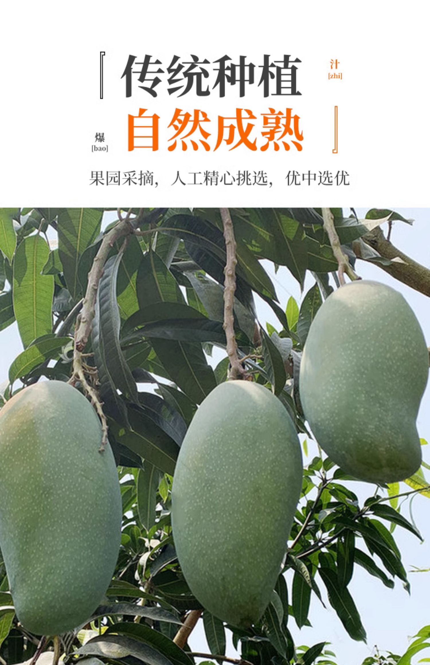 O1CN01uf5tXI1XuihWQWyBw_!!2926862984.jpg