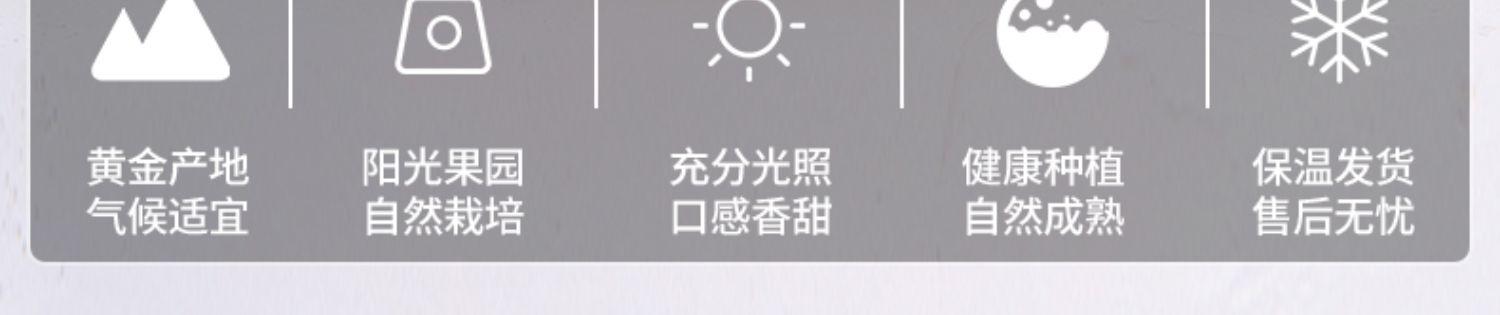 O1CN01wtoKPB1R1PACYFQky_!!2939922051.jpg
