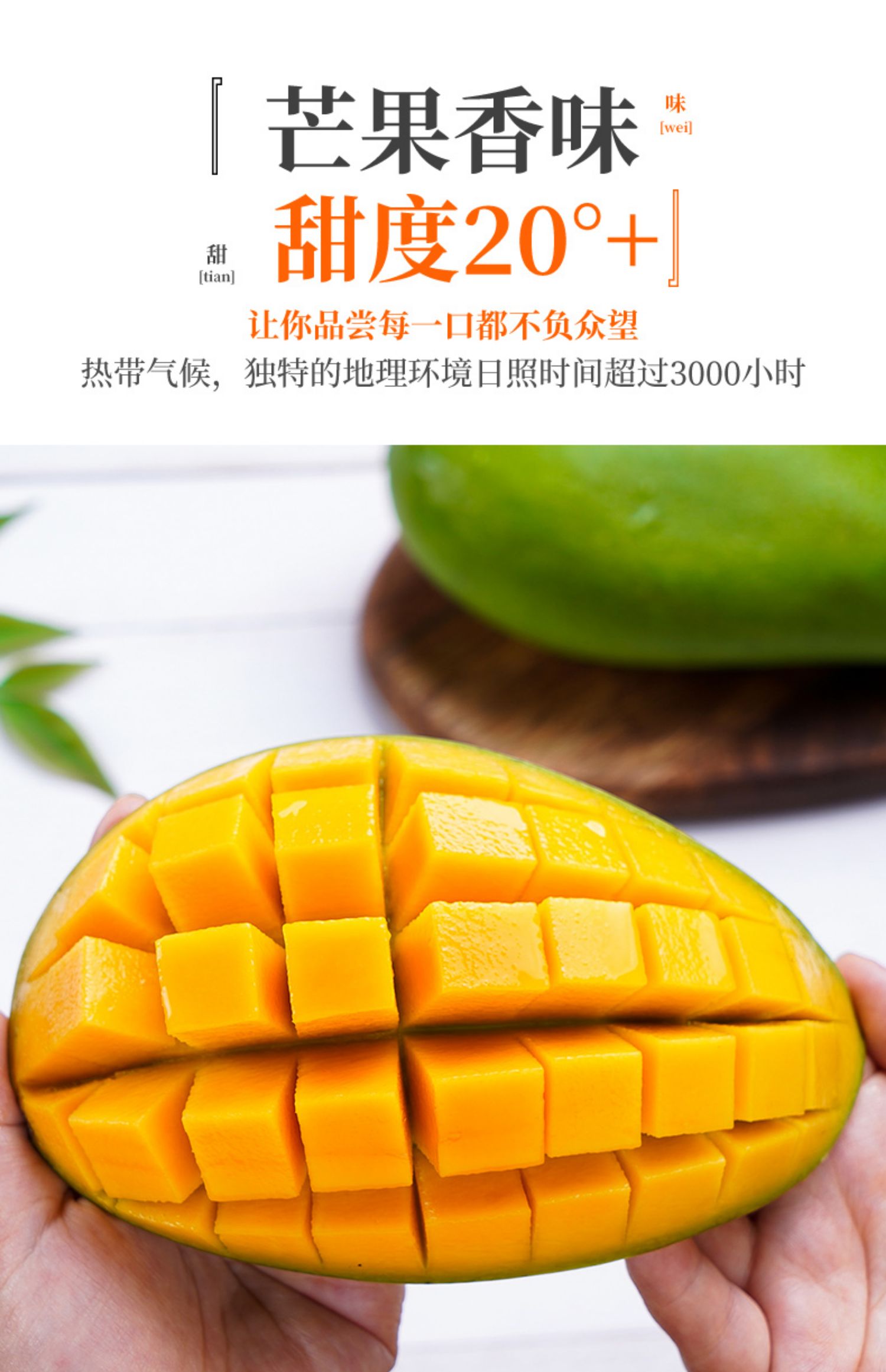 O1CN01ztRBY71XuihYoB5gK_!!2926862984.jpg